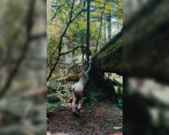 GoAskAlex aka goaskalex - 08-29-2022 OnlyFans Video - POV _ Im taking nudes in the forest and I have no idea youre there