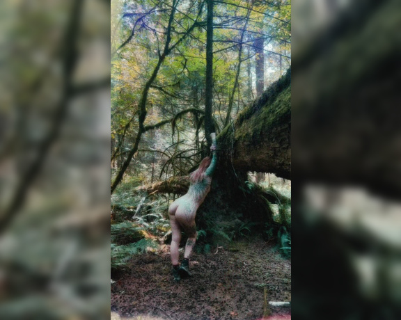 GoAskAlex aka goaskalex - 08-29-2022 OnlyFans Video - POV _ Im taking nudes in the forest and I have no idea youre there