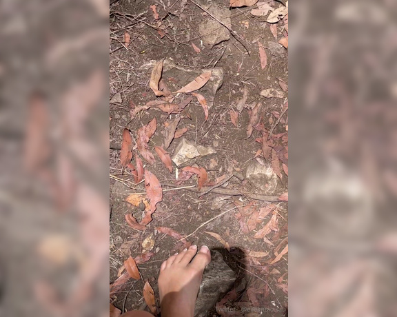 Elle Knox aka elleknox - 11-27-2023 OnlyFans Video - For the FEET lovers Walk with me in nature