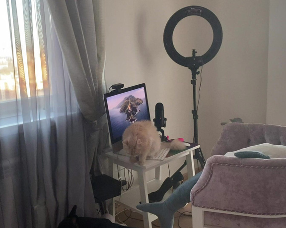 Kisankanna aka kisankanna - 11-10-2020 OnlyFans Video - My cat clearly wanted to say something to me or hint at something I dont understand