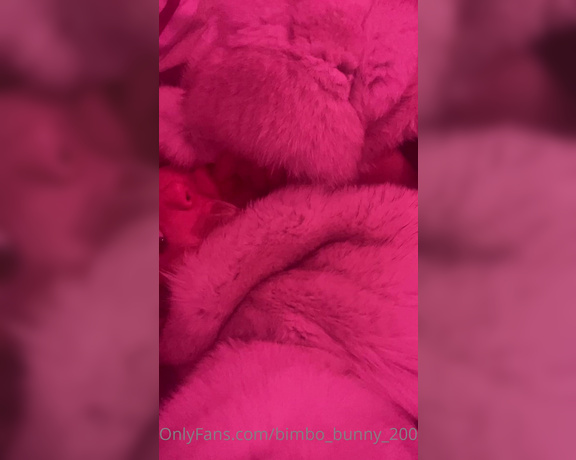 Jessy Bunny aka jessy.bunny.official - 08-10-2021 OnlyFans Video - Playing with my big lips while wearing fur