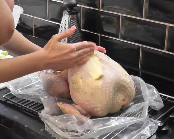 Danielle Maye XXX - cooking a turkey, Food, Food Stuffing, Food Porn, Garter & Stockings, Big Tits, ManyVids