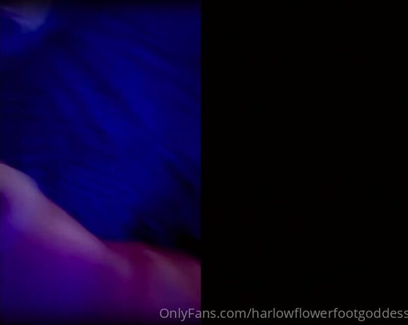 Harlowflowerfootgoddess - So delicious VR (09.11.2022)