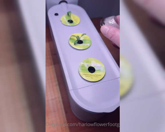 Harlowflowerfootgoddess - Week update on Aerogarden week update on QYO sq (11.10.2022)