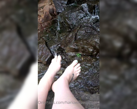 Harlowflowerfootgoddess - OnlyFans Video 4D (04.05.2021)