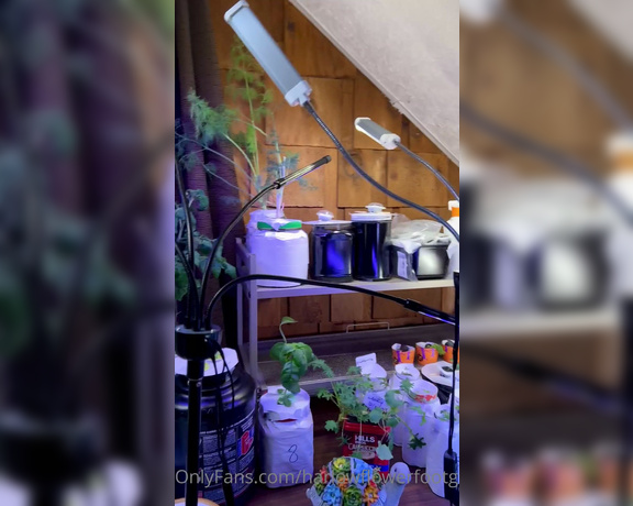 Harlowflowerfootgoddess - Just added a hanging grow light  I’m super excited!!!! I feel J (07.02.2023)