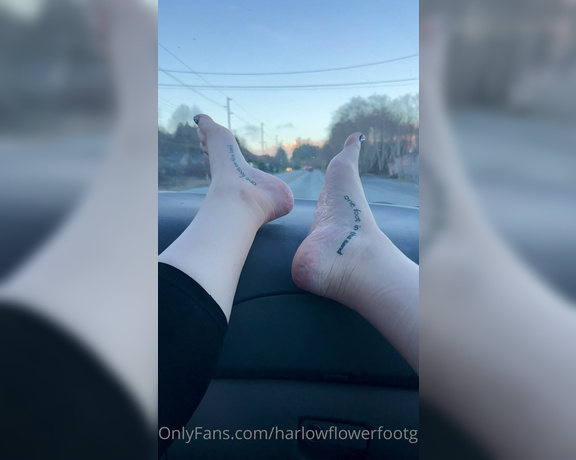 Harlowflowerfootgoddess - More road trippin …. ke (13.01.2023)