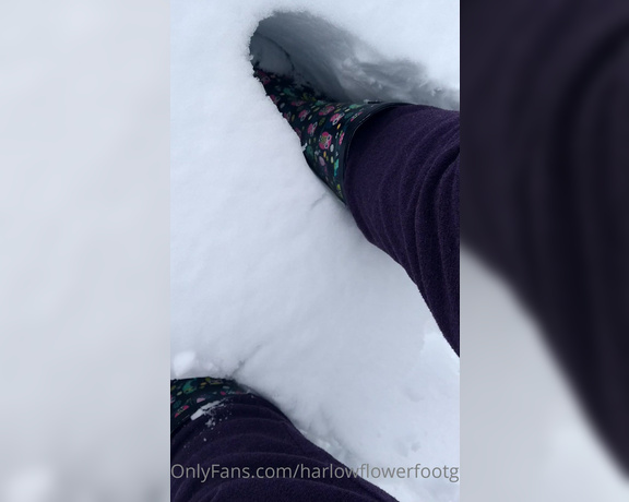 Harlowflowerfootgoddess - Note the snow up to the top of my boots! This is nuts yr (14.02.2021)
