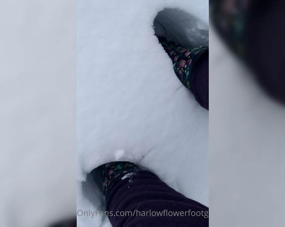 Harlowflowerfootgoddess - Note the snow up to the top of my boots! This is nuts yr (14.02.2021)
