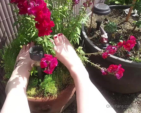 Harlowflowerfootgoddess - A little foot action, my sexy red toes dangling and playing in a N (29.05.2020)