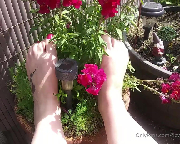 Harlowflowerfootgoddess - A little foot action, my sexy red toes dangling and playing in a N (29.05.2020)