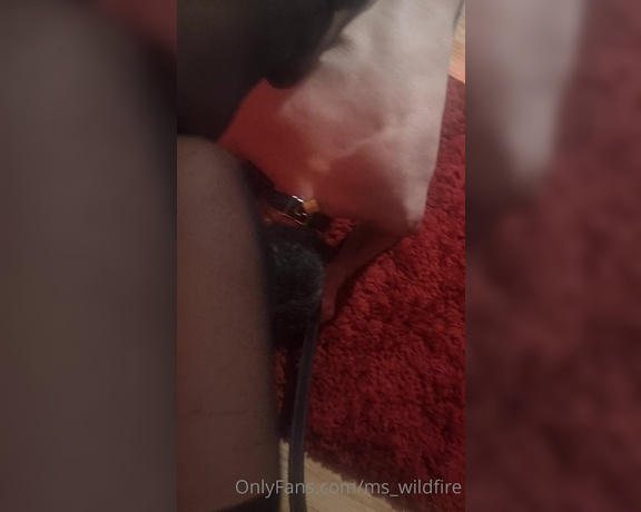 Ms_wildfire OnlyFans Video252