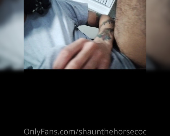 Shaunthehorsecock - This video is so fucking good My friend recommended jerking off thro f (21.09.2022)